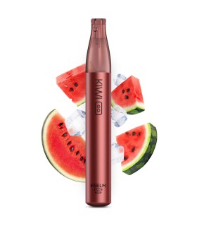 KIWI GO 750 PUFF DISPOSABLE VAPE PEN 400MAH - WATERMELON ICE 0MG (NO NICOTINA)